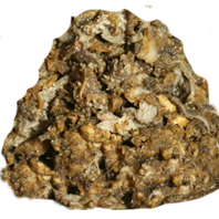 Panse de boeuf rumen 1 kg 3
